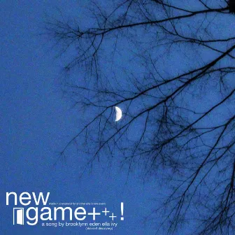 newgame+⁺₊ ! by Self Discovery