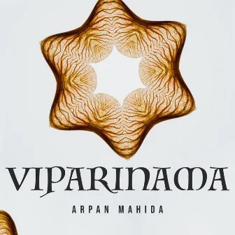 Viparinama by Arpan Mahida