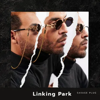 Linking Park by Savage Plug