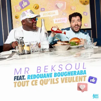 Tout ce qu'ils veulent by Mr BekSoul