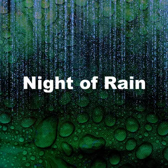 Night of Rain by Falling Rain Sounds