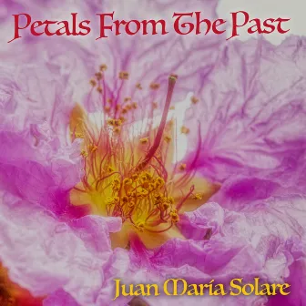 Petals From the Past by Juan María Solare