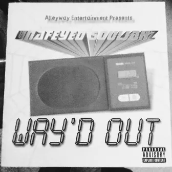 Way'd Out by V-Boy