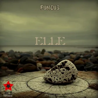 Elle by Fungus