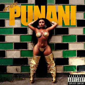 Punani by Starr