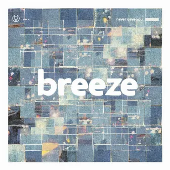 Never Gave You by Breeze