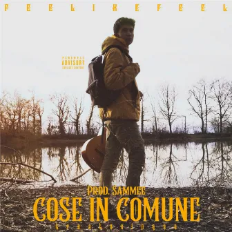 COSE IN COMUNE by Feelikefeel