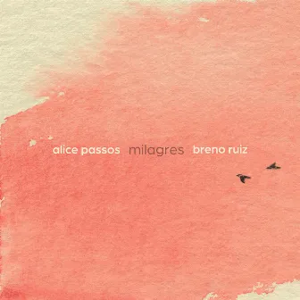 Milagres by Alice Passos