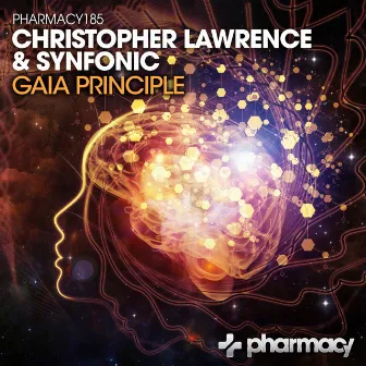 Gaia Principle by Synfonic