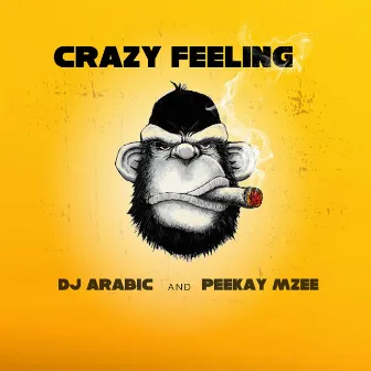 Crazy Feeling by PeeKay Mzee