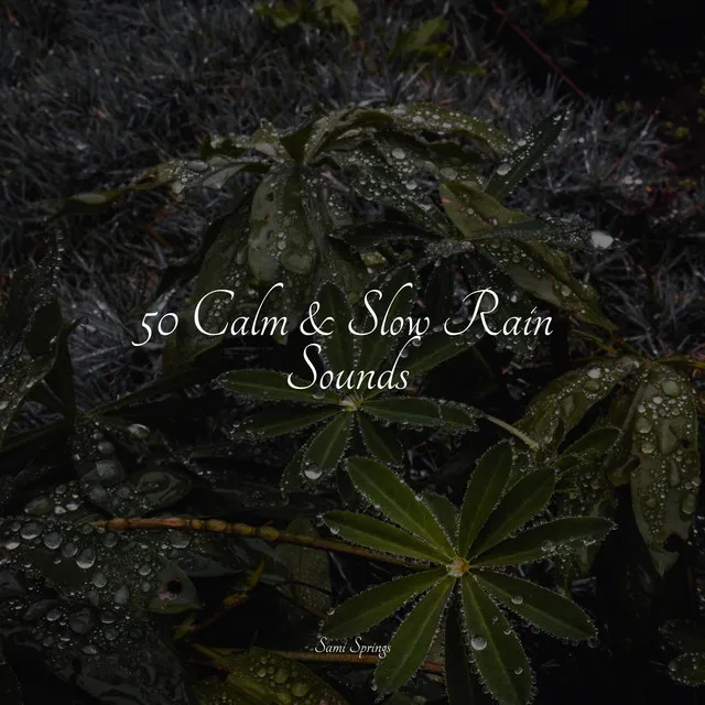 50 Calm & Slow Rain Sounds