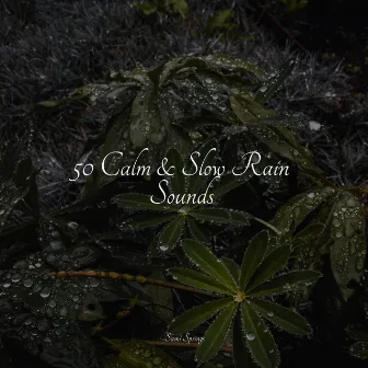 50 Calm & Slow Rain Sounds by Active Baby Music Workshop