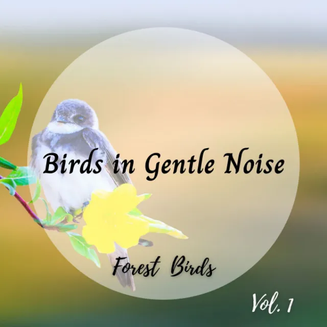 Forest Birds: Birds in Gentle Noise Vol. 1