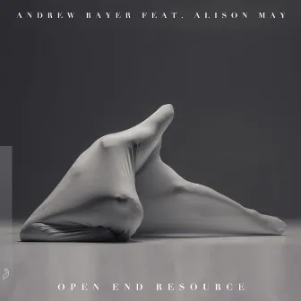 Open End Resource by Andrew Bayer