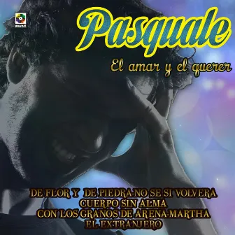 El Amar Y El Querer by Pasquale