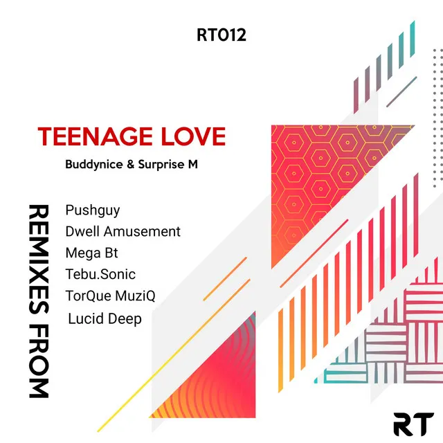 Teenage Love - Pushguy Remix