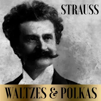 Strauss - Waltzes & Polkas by Vienna Volksoper Orchestra