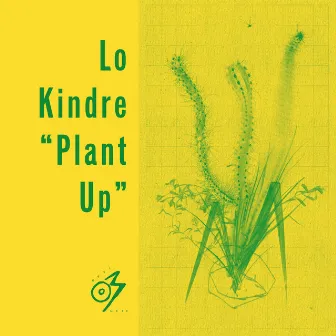 Plant Up by Lo Kindre