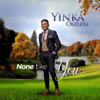 None Like You by Yinka Okeleye