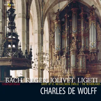 Charles de Wolff, Schnitger organ, Grote of Sint-Michaëlskerk Zwolle by Charles de Wolff