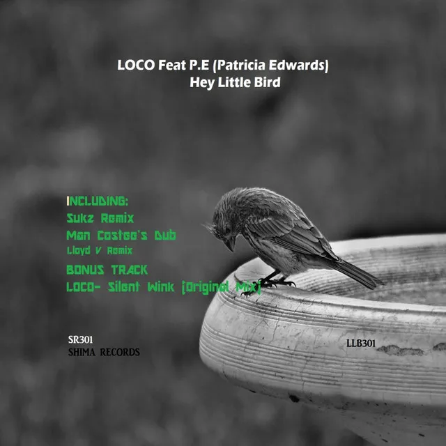 Hey Little Bird - Man Costee's Dub Remix