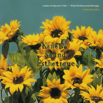 Kanebo Sound Esthetique 5 「元気になれる時間~聴くエステケアテラピー」 by Akiko Kosaka