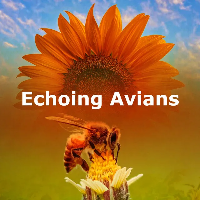 Echoing Avians