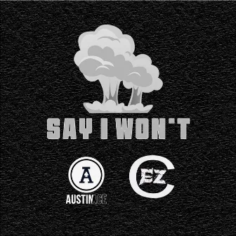 Say I Won't by Austin Ace