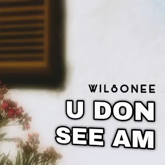 U Don See Am by Wilsonee