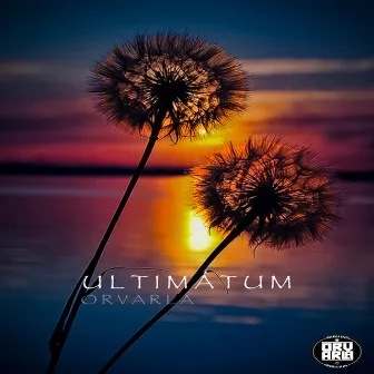 Ultimátum by OrvarlaBeats