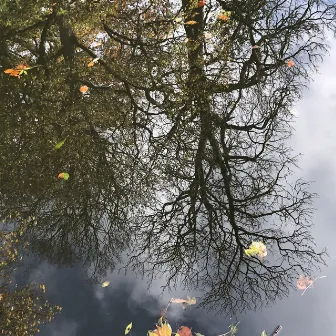 Bed In The River by Joan Shelley