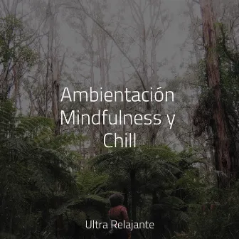 Ambientación Mindfulness y Chill by Musica Meditaction