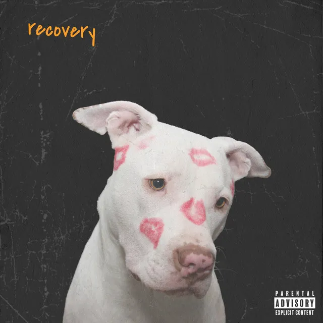 Recovery