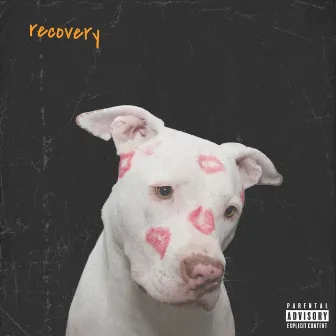 Recovery by Ri$ky