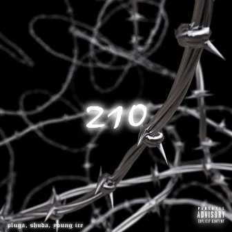 210 by Young Ice