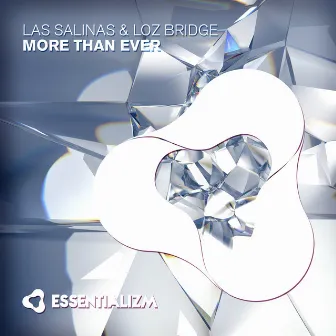 More Than Ever (Sunrise Mix) by Loz Bridge