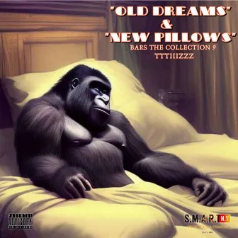 OLD DREAMS NEW PILLOWS by Tttiiizzz