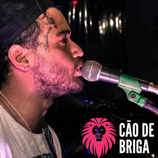 Cão de Briga