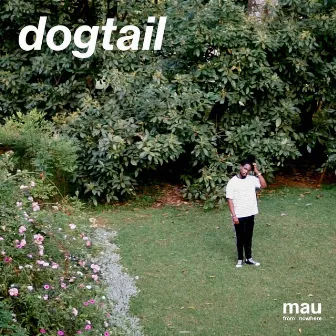 Dogtail by mau from nowhere