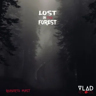 Lost In The Forest by Roberto Mast