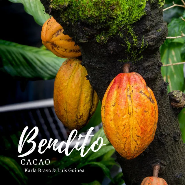 Bendito Cacao