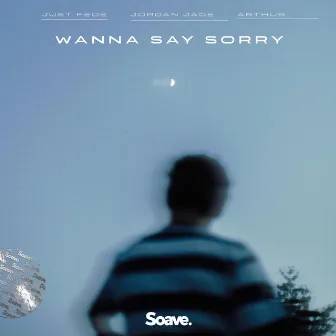 Wanna Say Sorry by Arthur