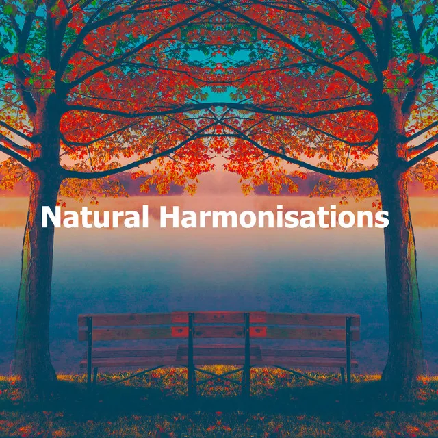 Natural Harmonisations