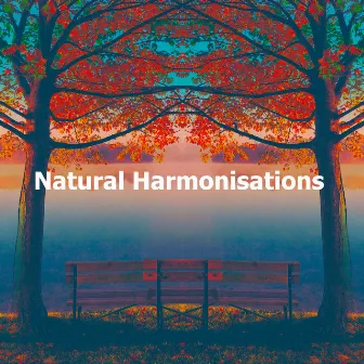 Natural Harmonisations by Relaxing Sounds of Nature