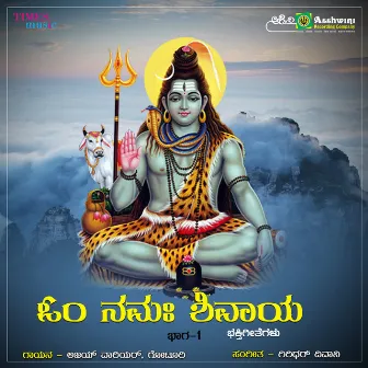 Om Namha Shivaya, Vol. 1 by Goturi