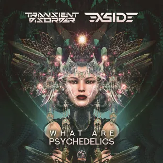 What Are Psychedelics by Transient Disorder