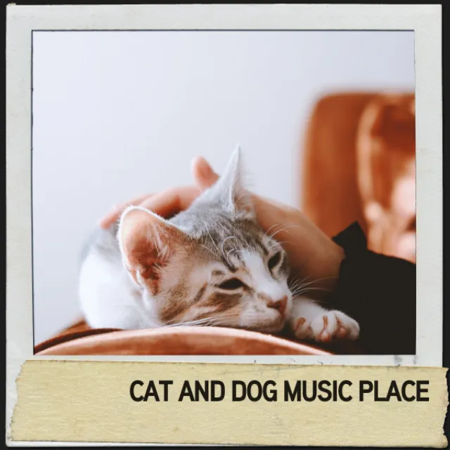 Cat and Dog Music Place: Soothing Sounds for Furry Friends