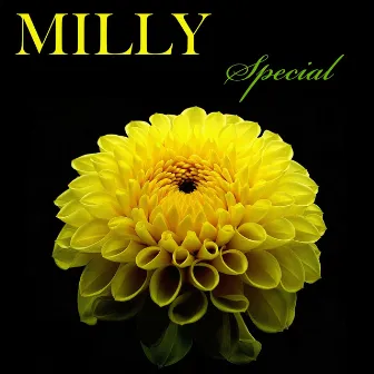 Milly Special by Milly