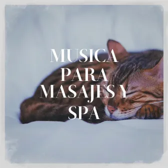 Música para Masajes y Spa by Unknown Artist