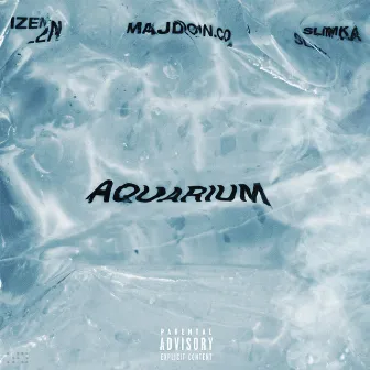 Aquarium by Izen